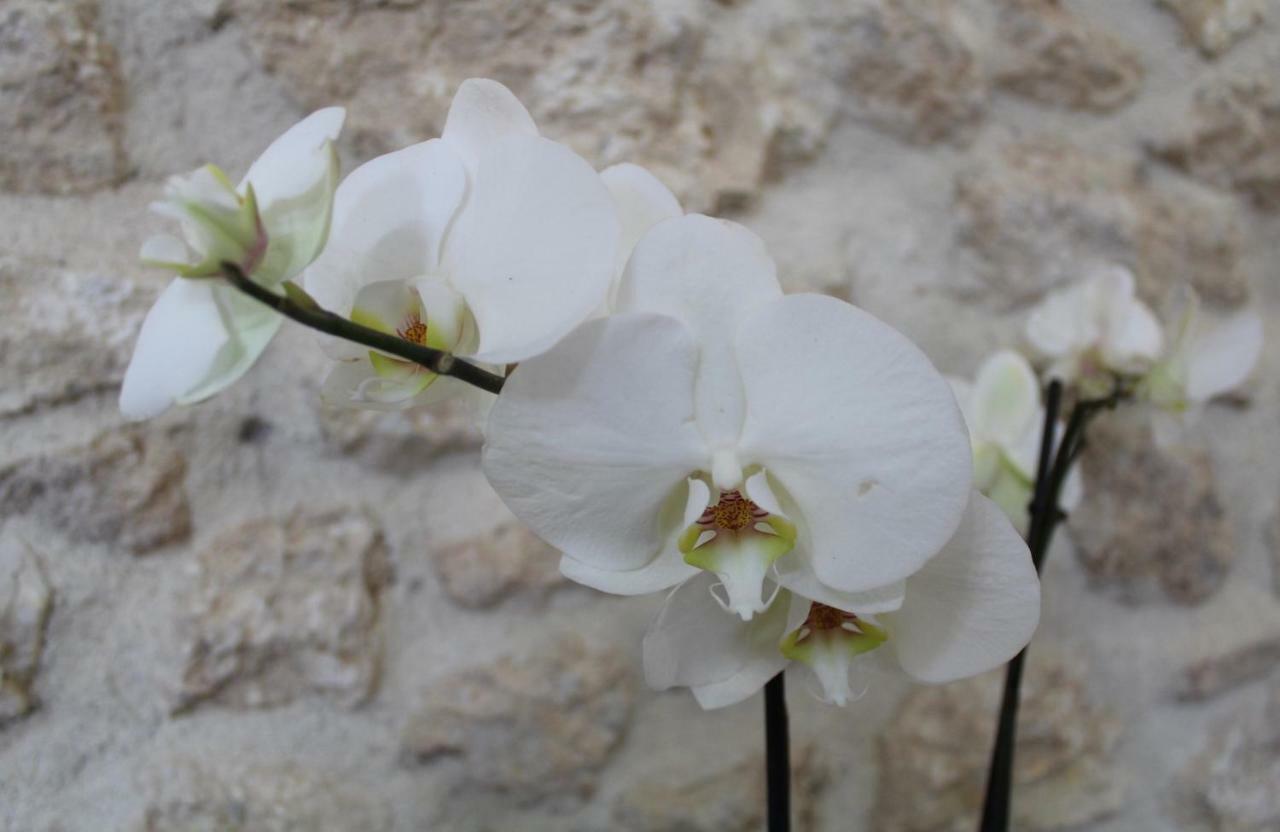 Casa San Giacomo Poggio Bustone ภายนอก รูปภาพ